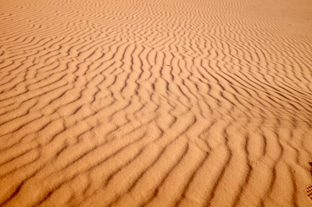 desert lines
